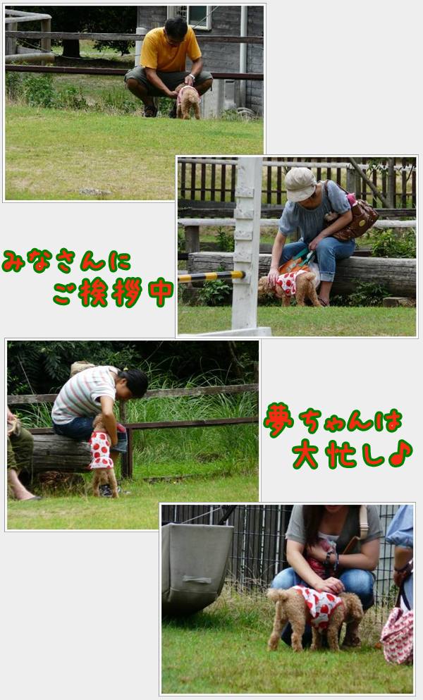 ゆあさ4