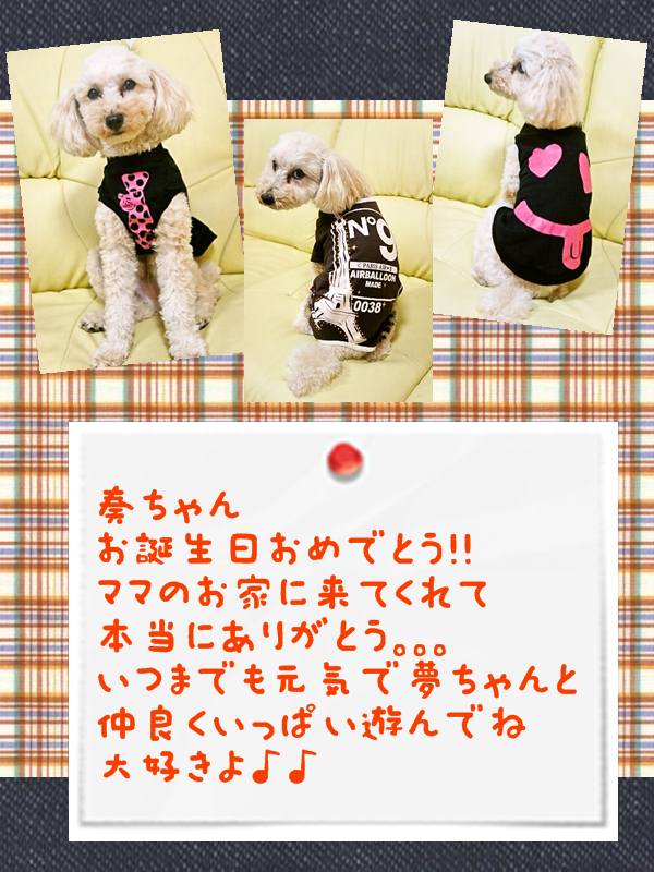 奏ちゃんお誕生日3
