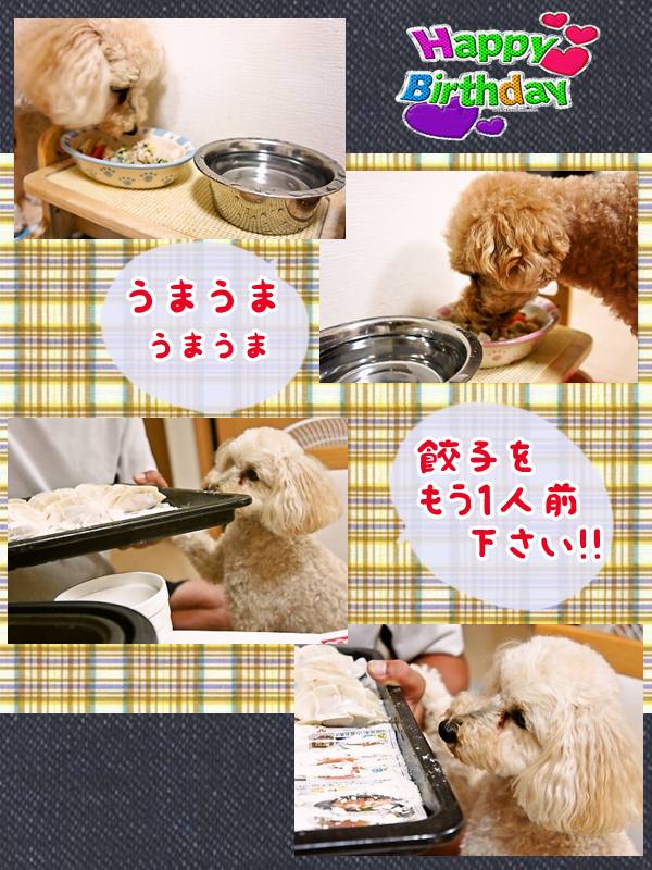 奏ちゃんお誕生日1