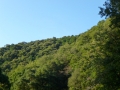 P1000168.jpg