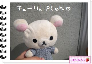 ちこちゃんの観察日記2012★18★チューリップの観察11-1