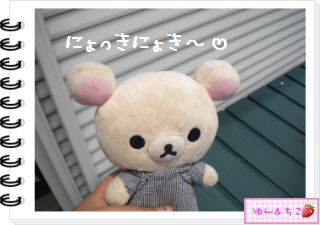 ちこちゃん日記★131★にょきにょき豆苗しゃん日記-1