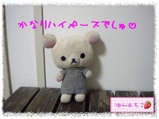 ちこちゃん日記★138★明日交換しましゅ♪-1