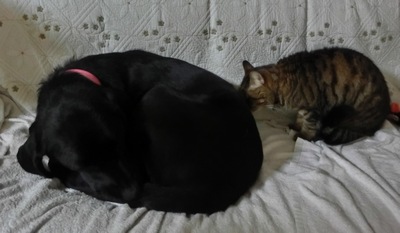 201401276.jpg
