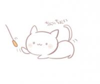 ねこじゃらし