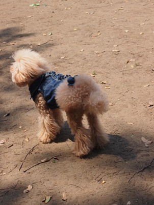 20120913-12.jpg