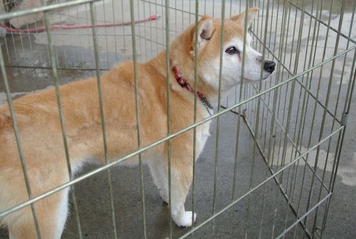 出会い
