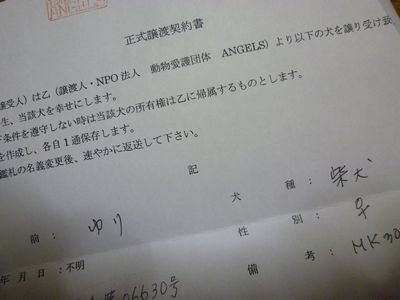 518.jpg