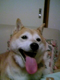 s-kami2.jpg