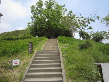 IMG_2733_convert_20120512225435.jpg