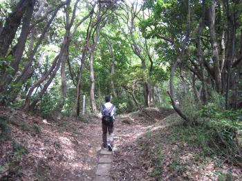 IMG_2738_convert_20120512225830.jpg