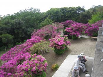 IMG_2760_convert_20120512231002.jpg