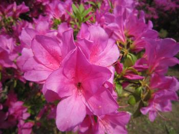 IMG_2766_convert_20120512231116.jpg