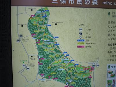 IMG_2779_convert_20120517103329.jpg