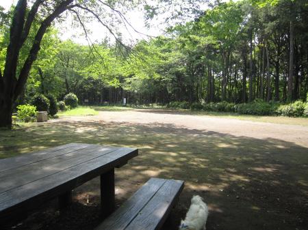IMG_2782_convert_20120517103548.jpg