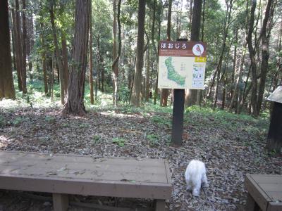 IMG_2785_convert_20120517103723.jpg