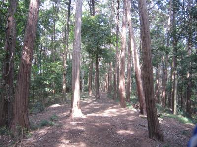 IMG_2792_convert_20120517104139.jpg
