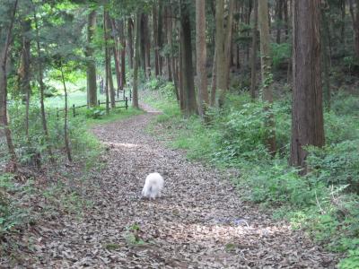 IMG_2809_convert_20120517105231.jpg