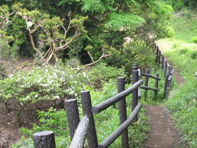 IMG_2815_convert_20120517105426.jpg