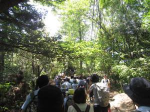 IMG_2959_convert_20120703101041.jpg