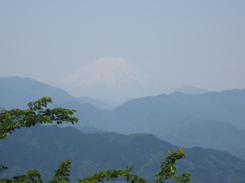 IMG_2973_convert_20120704090712.jpg