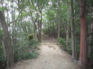 IMG_3007_convert_20120713105058.jpg