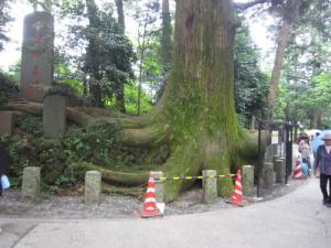 IMG_3016_convert_20120713105439.jpg