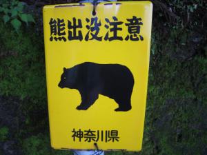 IMG_3036_convert_20120717171855.jpg