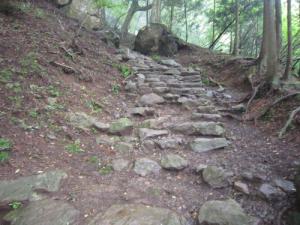 IMG_3043_convert_20120717172425.jpg