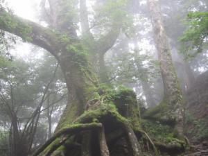 IMG_3049_convert_20120717172542.jpg