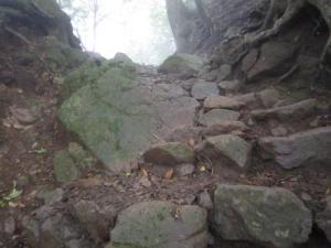 IMG_3051_convert_20120717172707.jpg