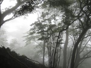 IMG_3052_convert_20120717172742.jpg