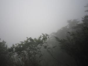 IMG_3064_convert_20120717173059.jpg