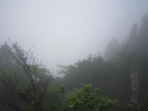 IMG_3082_convert_20120717174013.jpg