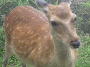 IMG_3090_convert_20120717174348.jpg