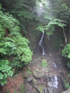 IMG_3117_convert_20120717175314.jpg