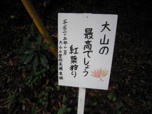 IMG_3122_convert_20120717175525.jpg