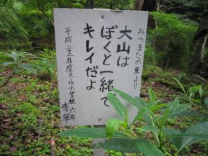IMG_3127_convert_20120717175556.jpg