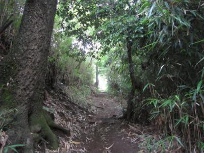 IMG_3135_convert_20120723112654.jpg