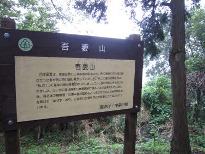 IMG_3138_convert_20120723112854.jpg