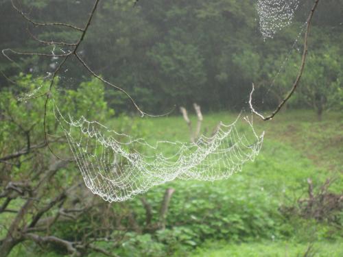 IMG_3150_convert_20120723113225.jpg