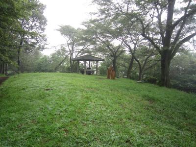 IMG_3200_convert_20120723115726.jpg