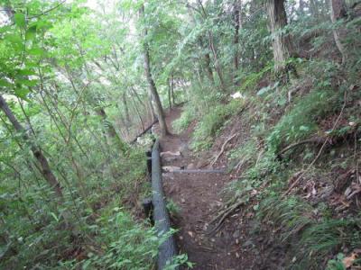 IMG_3203_convert_20120723120033.jpg