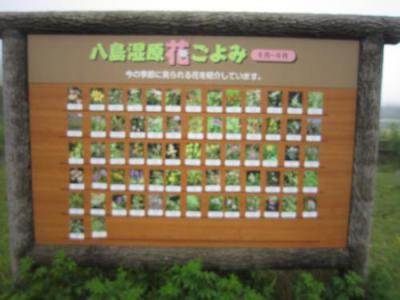 IMG_3443_convert_20120905221948.jpg