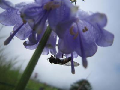 IMG_3486_convert_20120905224100.jpg