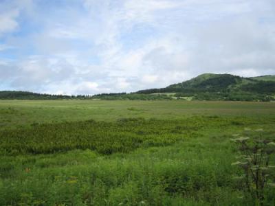 IMG_3503_convert_20120905224534.jpg