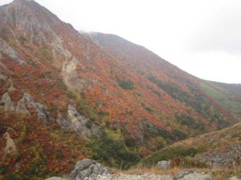 IMG_3976_convert_20121022151635.jpg
