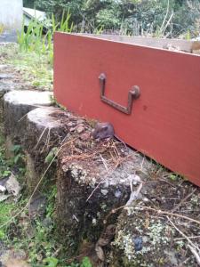 fc2_2013-03-19_20-27-19-665.jpg
