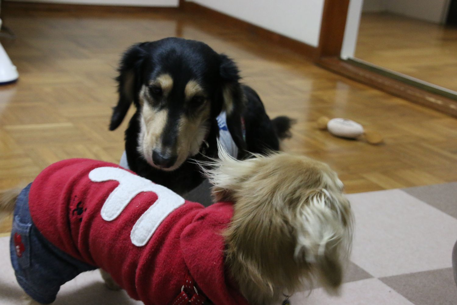 ym20140108-3.jpg