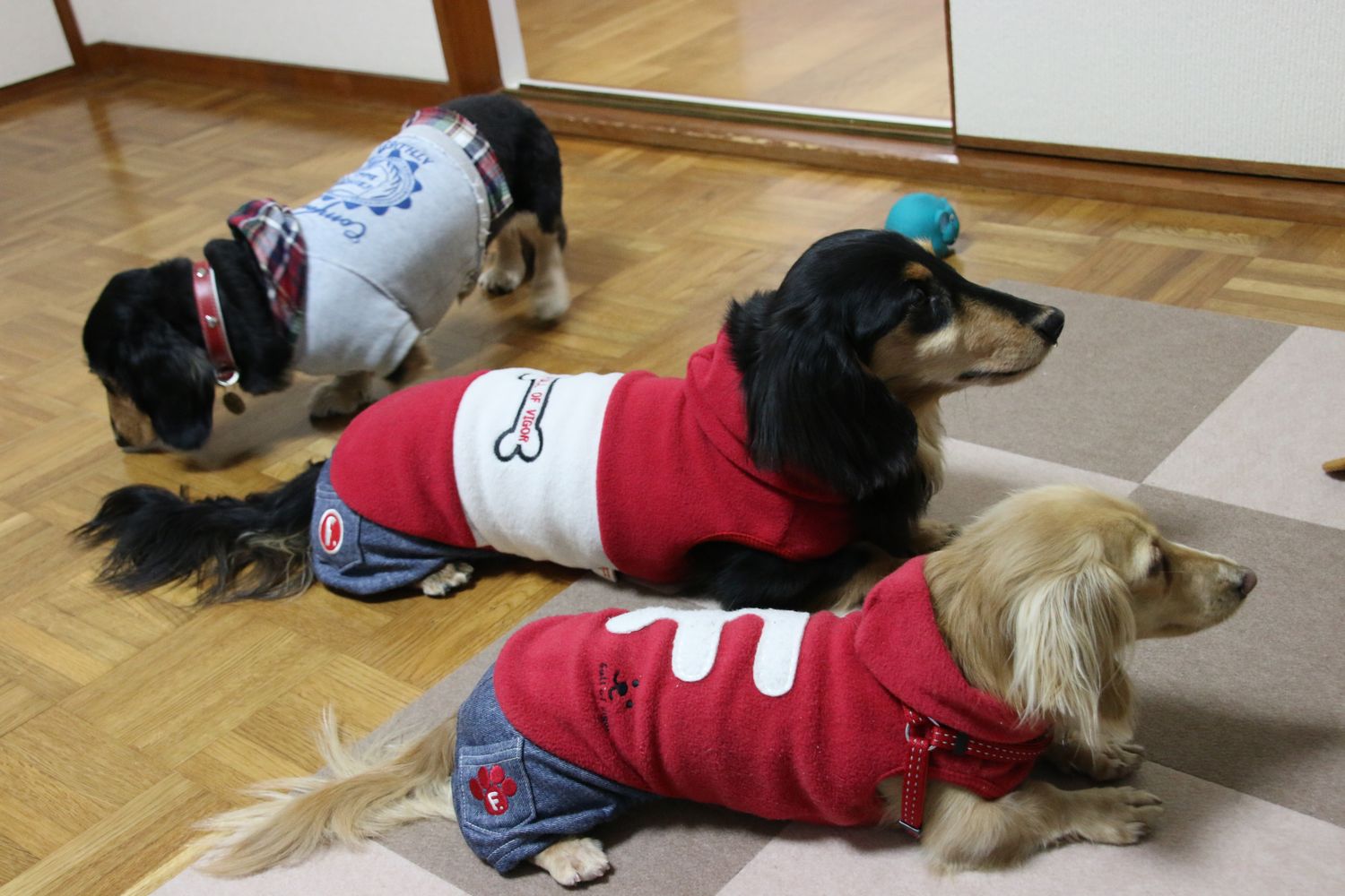 ym20140108-4.jpg